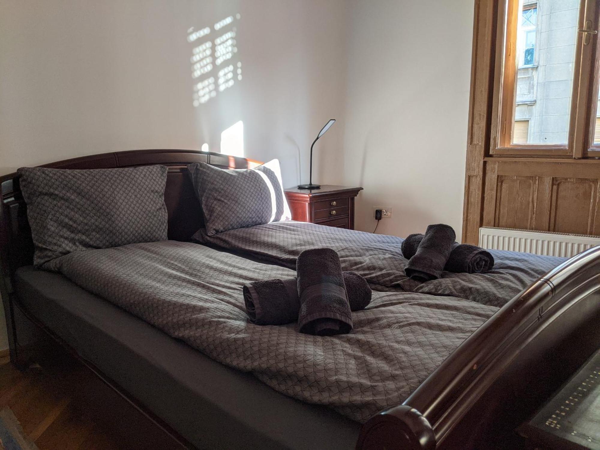 Ultra-Central Apartment In The Loffler Palace Timisoara Bagian luar foto